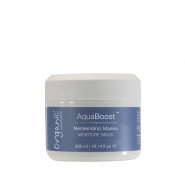 Organic Colour Systems Aqua Boost Nemlendirici Saç Maskesi 300 ml
